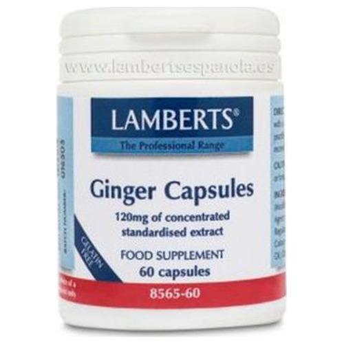 Jengibre - Lamberts - 60 cápsulas