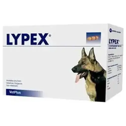 Lypex - VetPlus - 60 cápsulas