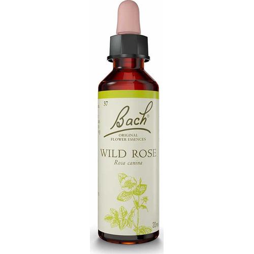 Bach 37 Wild Rose 20 Ml Rosa Silvestre