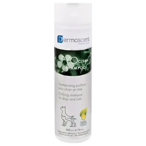 Dermoscent Pyoclean Perro Gato Shampoo 200ml 