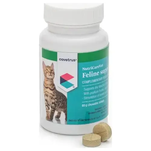 Nutricarevet Suplemento Gastrico Felino 80cpd Covetrus