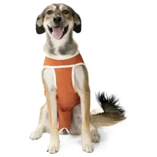 Luna & Milo Copperbody Body De Cobre Classic Talla 4