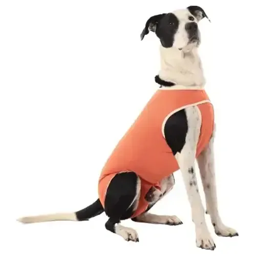 Luna & Milo Copperbody Body De Cobre Castration Talla 12