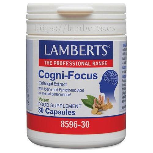 Cogni Focus-Extracto de Galangal + Ácido Pantoténico (B5) + Yodo - Lamberts - 30 cápsulas.