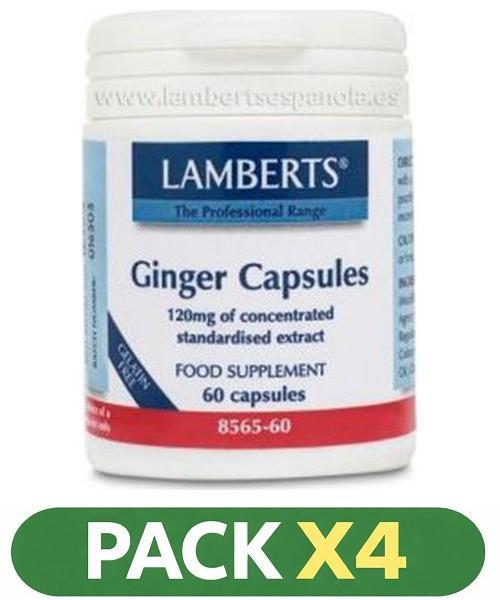 Pack x4 Jengibre - Lamberts - 60 cápsulas