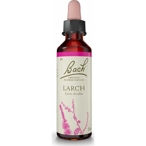 (19) Larch - Bach - 20 Ml
