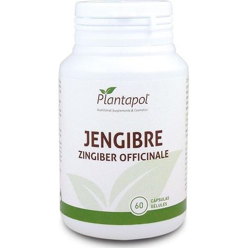 Jengibre - Plantapol - 60 Cápsulas