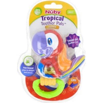 Nuby Mordedor Musical Pez/loro +6 M 1 Un