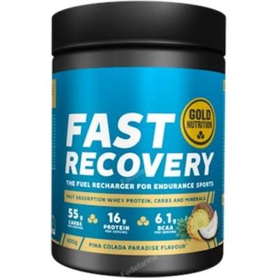 Fast Recovery Piña Colada 600gr.