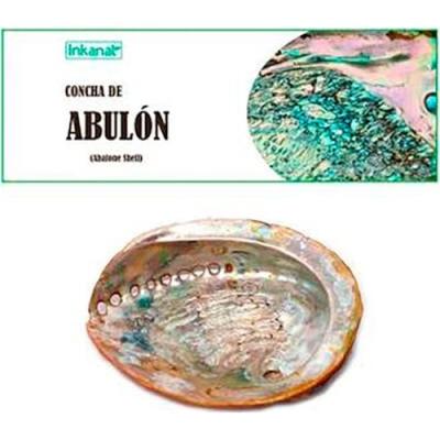 Concha De Abulon 12-14cm 1ud.