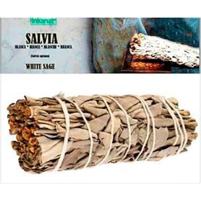Salvia Blanca Atado 10cm Bolsa 1uud.