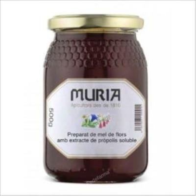 Miel De Mil Flores Con Propolis 500gr.