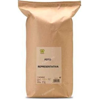 Zaragatona 1kg.