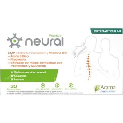 Neural 30comp.