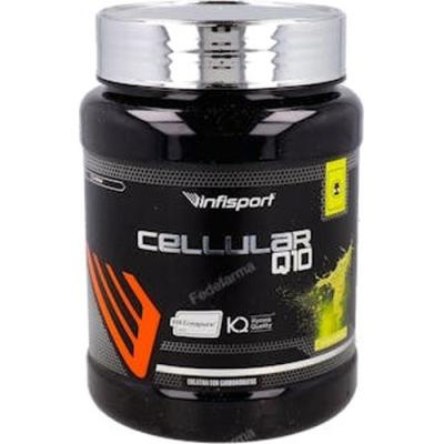 Infisport Cellular Q10 1kg