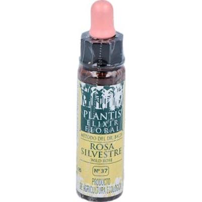 Wild Rose Plantis Flores De Bach Nº 37 10ml.