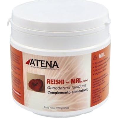 Reishi-ganoderma-mrl 250gr.en Polvo