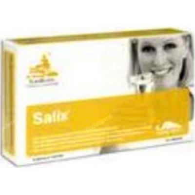 Salix 120comp.