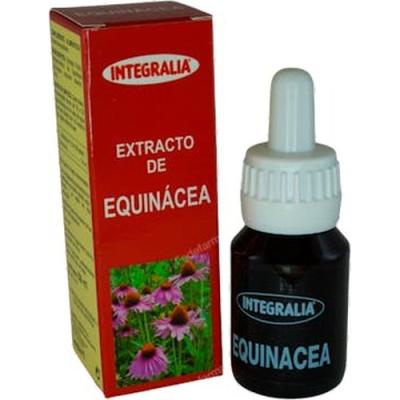 Echinacea Concentrado 50ml.